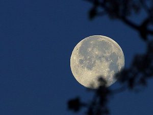 winter-moon