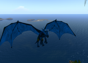 blue dragon_002
